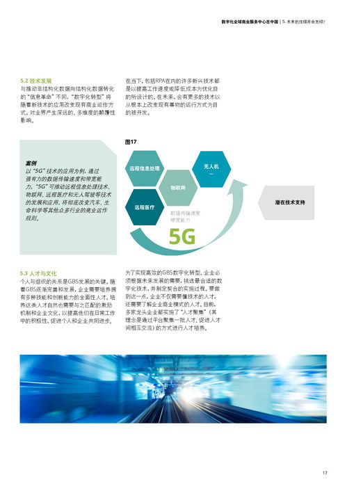 德勤咨詢數(shù)字化全球商業(yè)服務中心在中國的經濟與商務信息咨詢服務